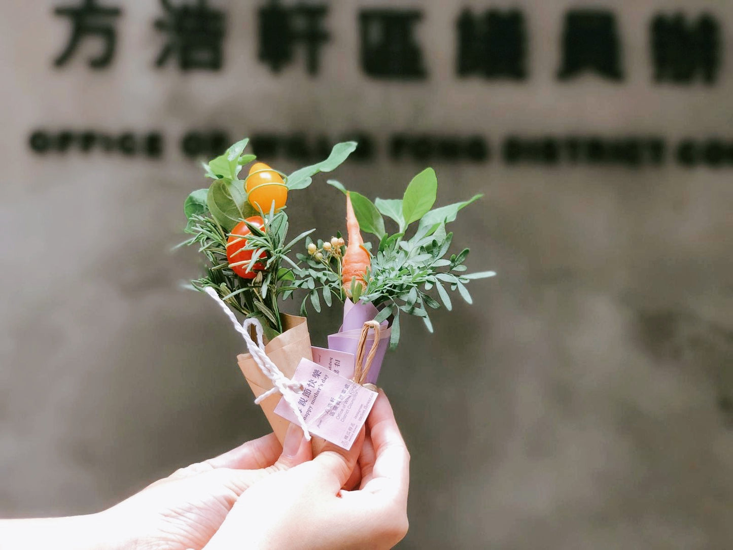 迷你菜束|mini bouquet 細菜束 團體禮物 蔬菜籃 散水禮物