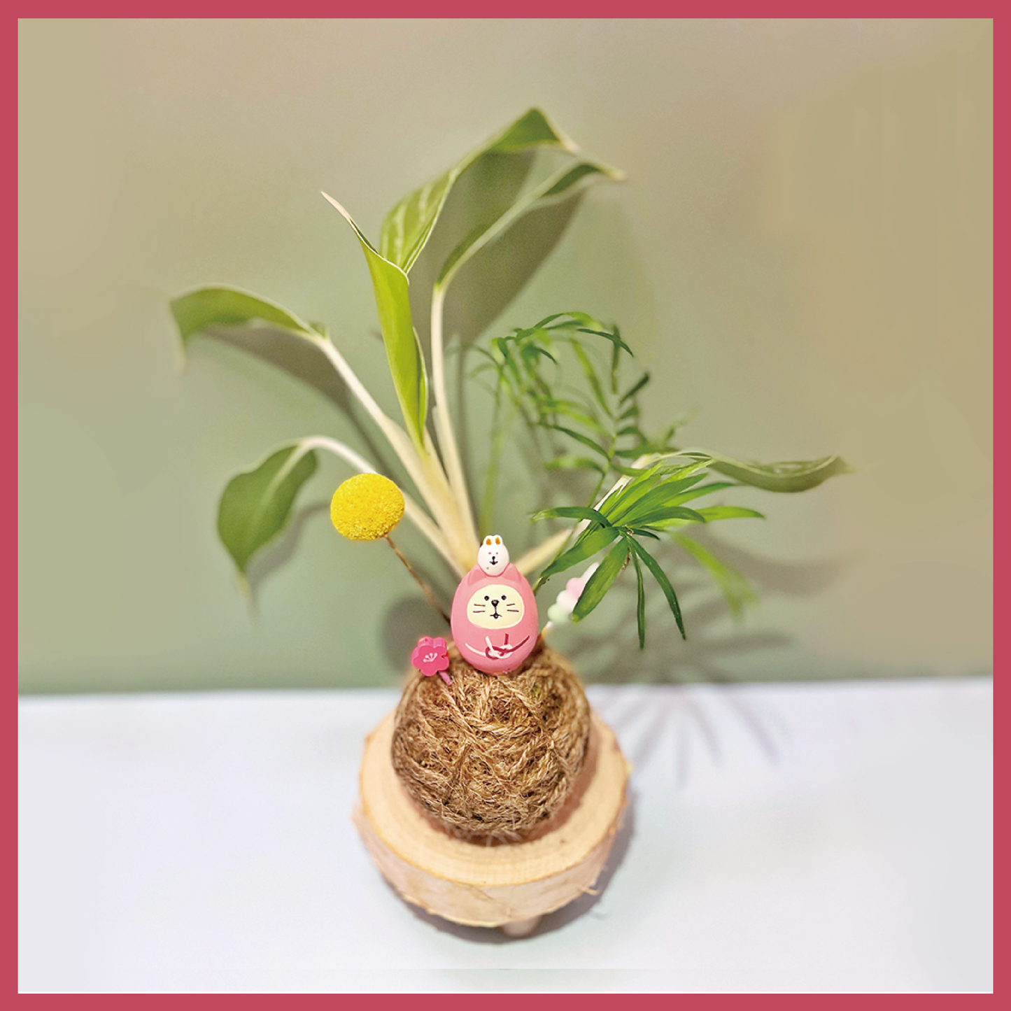 苔玉 | 苔球 |新年苔球