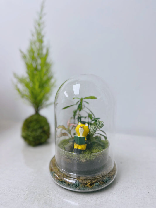 植物生態瓶 ｜ 狐狸之家 ｜ 聖誕禮物 家具裝飾 可訂製植物和樣式