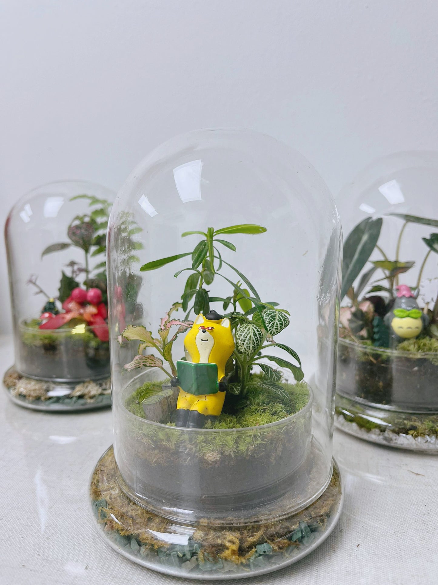 植物生態瓶 ｜ 狐狸之家 ｜ 聖誕禮物 家具裝飾 可訂製植物和樣式